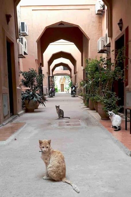 Riad Nekhla Marraquexe Exterior foto